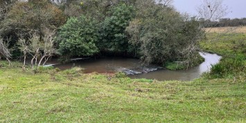 Foto: chacara-no-linha-castelo-branco-sao-miguel-do-iguacu-pr-2492-02f3faae0a.jpg