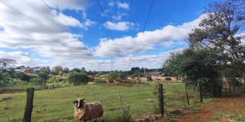 Foto: chacara-no-primeira-linha-santa-terezinha-de-itaipu-pr-2472-dc54c0cfc3.jpg