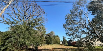 Foto: chacara-no-santa-terezinha-de-itaipu-pr-2835-fa770df2fd.jpg