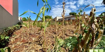 Foto: terreno-no-centro-santa-terezinha-de-itaipu-parana-906-3b0a6bdc0e.jpg